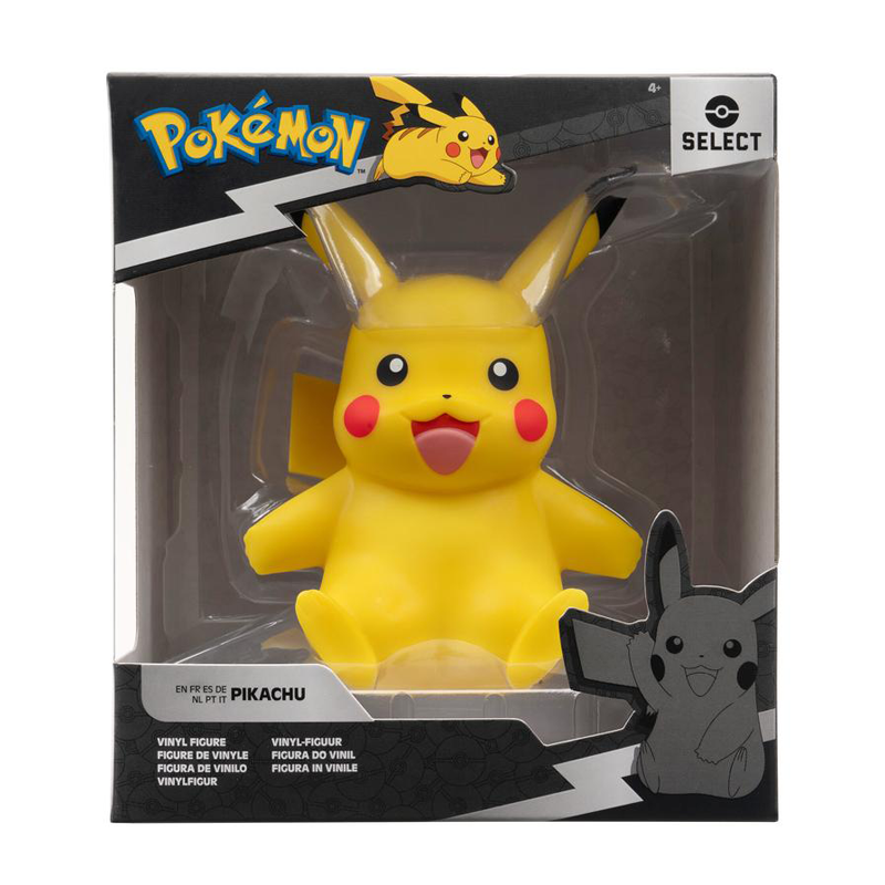 NEW! Pokemon Vinyl